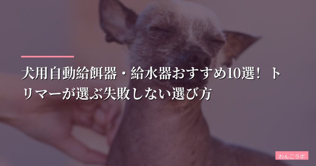 犬用自動給餌器・給水器おすすめ10選！トリマーが選ぶ失敗しない選び方【2026年版】