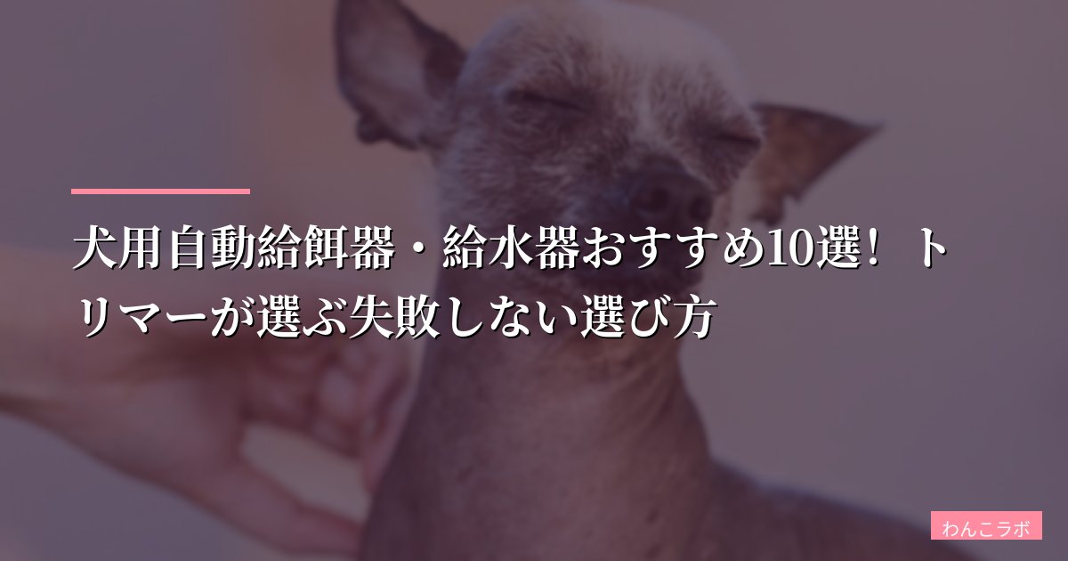 犬用自動給餌器・給水器おすすめ10選!トリマーが選ぶ失敗しない選び方【2026年版】