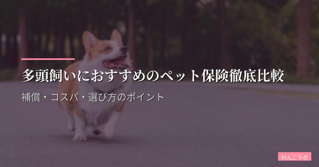 多頭飼いのペット保険おすすめ比較【犬・猫】多頭割引で安くする選び方と注意点