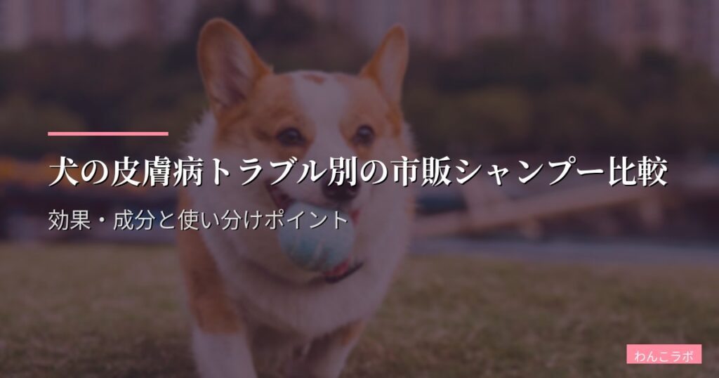 犬の皮膚病トラブル別の市販シャンプー比較｜効果・成分と使い分けポイント