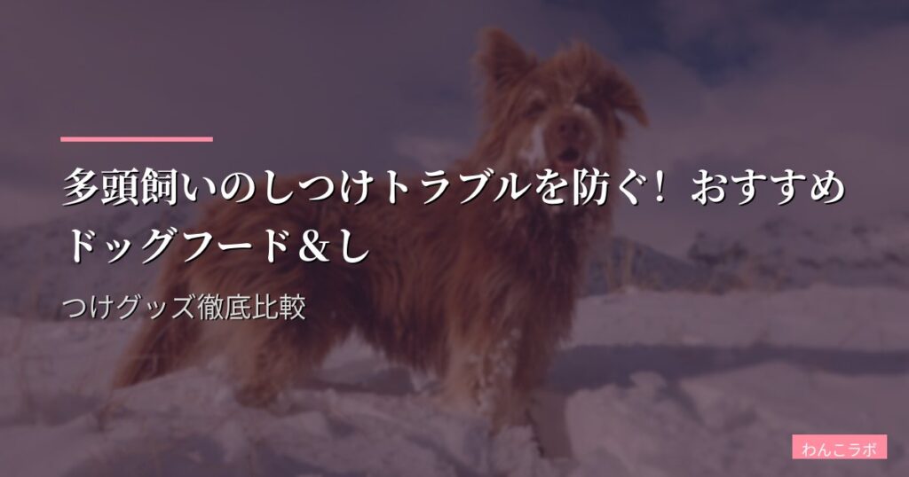 多頭飼いのしつけトラブルを防ぐ！おすすめドッグフード＆しつけグッズ徹底比較