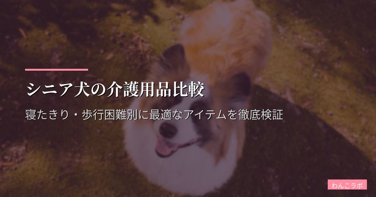 シニア犬の介護用品比較|寝たきり・歩行困難別に最適なアイテムを徹底検証