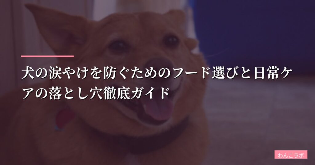 犬の涙やけを防ぐためのフード選びと日常ケアの落とし穴徹底ガイド【2026年版】