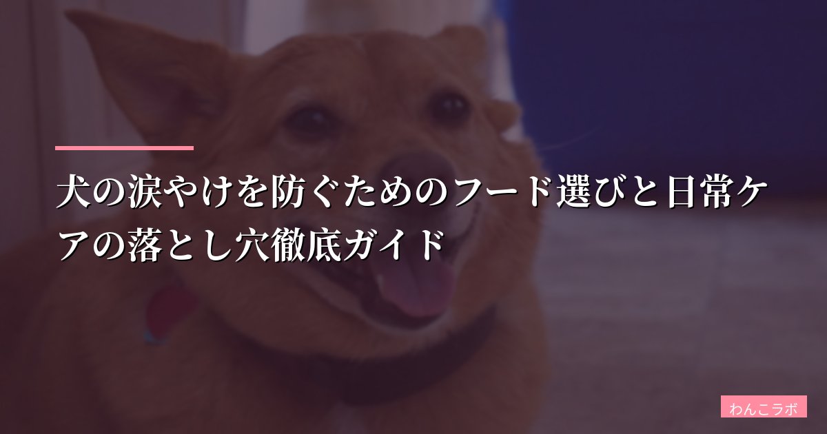 犬の涙やけを防ぐためのフード選びと日常ケアの落とし穴徹底ガイド【2026年版】