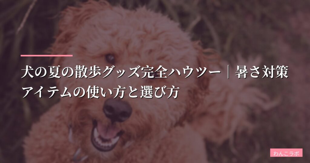 犬の夏の散歩グッズ完全ハウツー｜暑さ対策アイテムの使い方と選び方【2026年最新版】