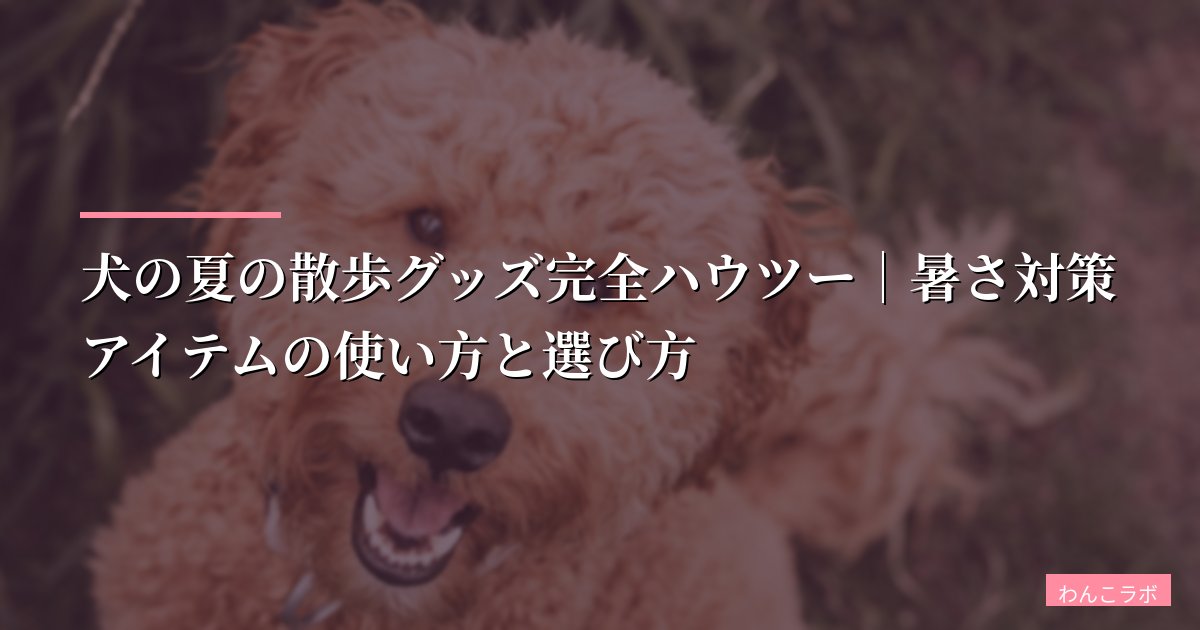 犬の夏の散歩グッズ完全ハウツー｜暑さ対策アイテムの使い方と選び方【2026年最新版】