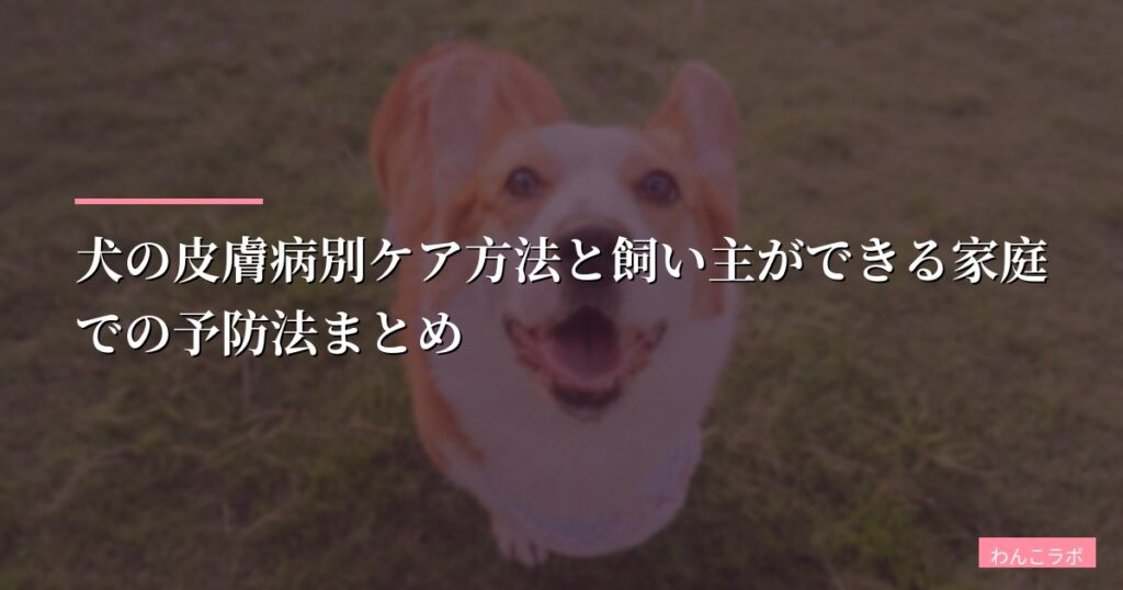 犬の皮膚病別ケア方法と飼い主ができる家庭での予防法まとめ【犬 皮膚病 対策・予防ガイド】
