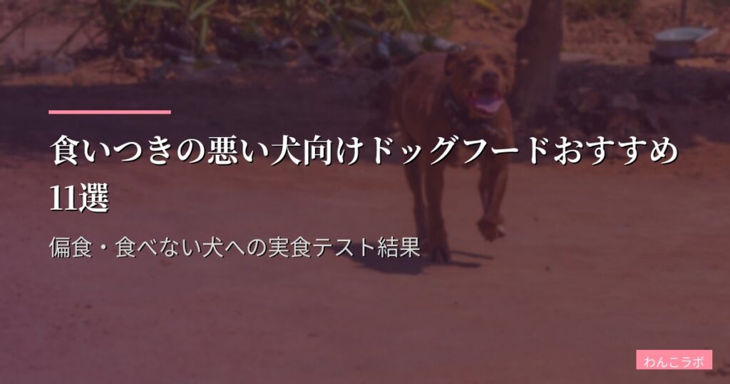 食いつきの悪い犬向けドッグフードおすすめ11選【2026年版】偏食・食べない犬への実食テスト結果