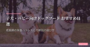 子犬・パピー向けドッグフード おすすめ11選【2026年版】成長期の栄養バランスと月齢別の選び方