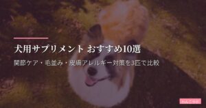 犬用サプリメント おすすめ10選【2026年版】関節ケア・毛並み・皮膚アレルギー対策を3匹で比較