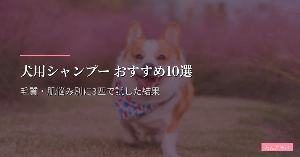 犬用シャンプー おすすめ10選【2026年版】毛質・肌悩み別に3匹で試した結果