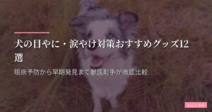 犬の目やに・涙やけ対策おすすめグッズ12選｜眼病予防から早期発見まで獣医助手が徹底比較