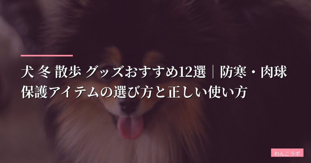 犬 冬 散歩 グッズおすすめ12選｜防寒・肉球保護アイテムの選び方と正しい使い方【2026年版】