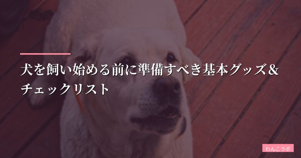 犬を飼い始める前に準備すべき基本グッズ＆チェックリスト【初心者向け完全ガイド2026年版】