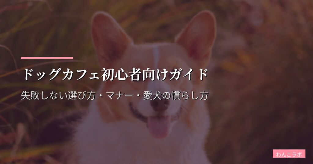 ドッグカフェ初心者向けガイド｜失敗しない選び方・マナー・愛犬の慣らし方