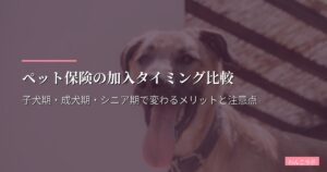 ペット保険の加入タイミング比較｜子犬期・成犬期・シニア期で変わるメリットと注意点