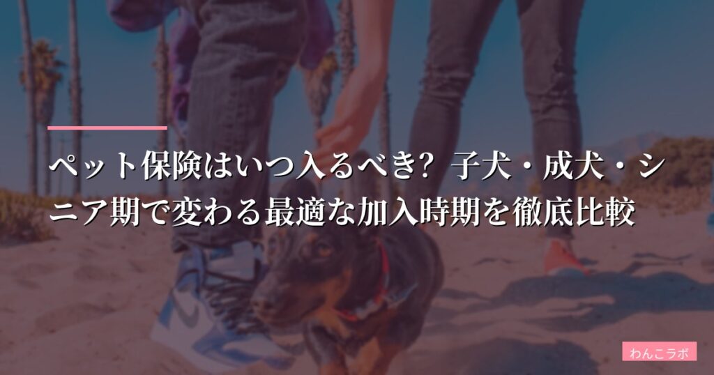 【後悔先に立たず】ペット保険はいつ入るべき？子犬・成犬・シニア期で変わる最適な加入時期を徹底比較