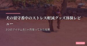 犬の留守番中のストレス軽減グッズ体験レビュー｜3つのアイテムを1ヶ月使ってみた結果