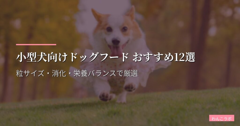 小型犬向けドッグフード おすすめ12選【2026年版】粒サイズ・消化・栄養バランスで厳選
