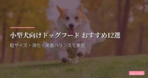小型犬向けドッグフード おすすめ12選【2026年版】粒サイズ・消化・栄養バランスで厳選