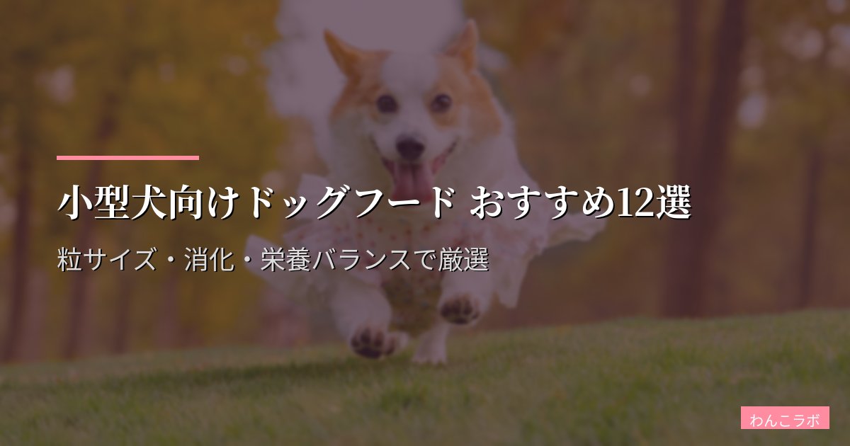 小型犬向けドッグフード おすすめ12選【2026年版】粒サイズ・消化・栄養バランスで厳選