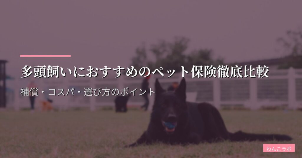 多頭飼いにおすすめのペット保険徹底比較｜補償・コスパ・選び方のポイント