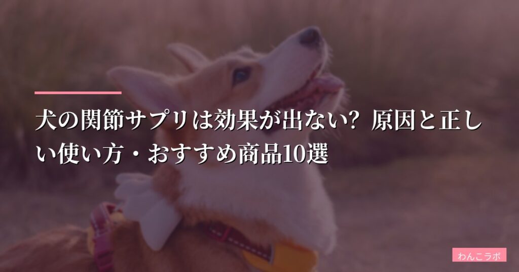犬の関節サプリは効果が出ない？原因と正しい使い方・おすすめ商品10選【2026年版】