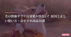 犬の関節サプリは効果が出ない？原因と正しい使い方・おすすめ商品10選【2026年版】
