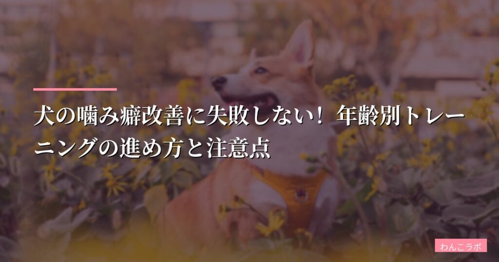 犬の噛み癖改善に失敗しない！年齢別トレーニングの進め方と注意点【最新スプレー・グッズ徹底比較】