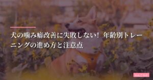 犬の噛み癖改善に失敗しない！年齢別トレーニングの進め方と注意点【最新スプレー・グッズ徹底比較】