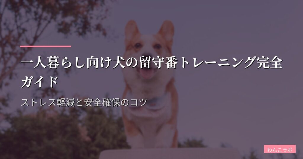 一人暮らし向け犬の留守番トレーニング完全ガイド｜ストレス軽減と安全確保のコツ