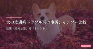 犬の皮膚病トラブル別の市販シャンプー比較｜効果・成分と使い分けポイント