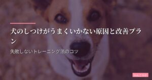 犬のしつけがうまくいかない原因と改善プラン｜失敗しないトレーニング法のコツ