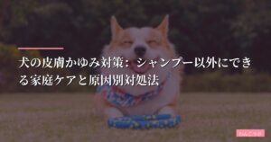 犬の皮膚かゆみ対策：シャンプー以外にできる家庭ケアと原因別対処法【2026年最新】