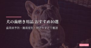 犬の歯磨き用品 おすすめ10選【2026年版】歯周病予防・難易度別・続けやすさで厳選