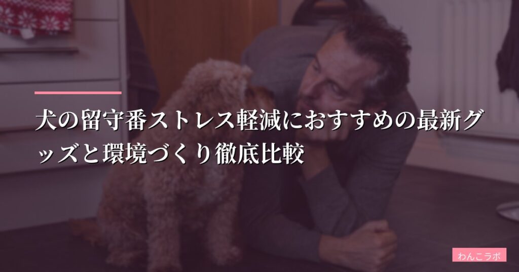 犬の留守番ストレス軽減におすすめの最新グッズと環境づくり徹底比較【2026年版】