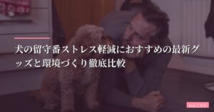 犬の留守番ストレス軽減におすすめの最新グッズと環境づくり徹底比較【2026年版】