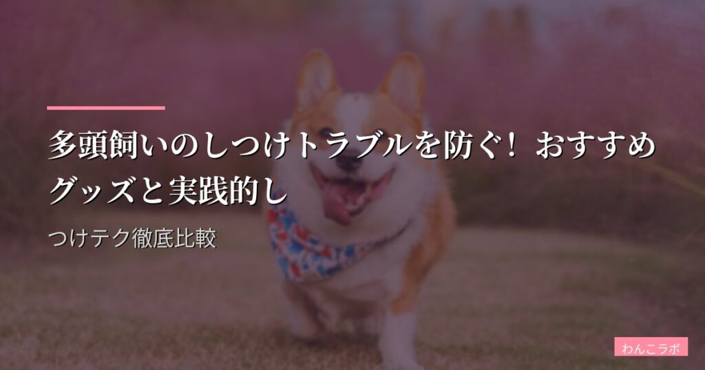 多頭飼いのしつけトラブルを防ぐ！おすすめグッズと実践的しつけテク徹底比較