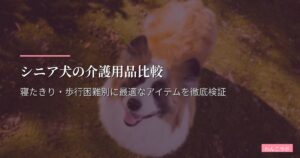 シニア犬の介護用品比較｜寝たきり・歩行困難別に最適なアイテムを徹底検証