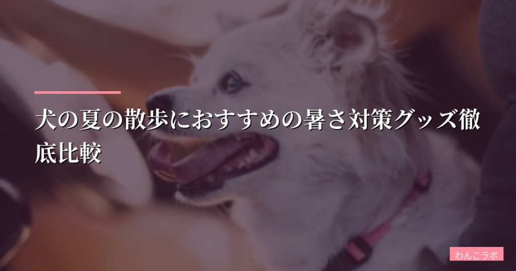 犬の夏の散歩におすすめの暑さ対策グッズ徹底比較【2026年最新版】