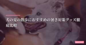 犬の夏の散歩におすすめの暑さ対策グッズ徹底比較【2026年最新版】