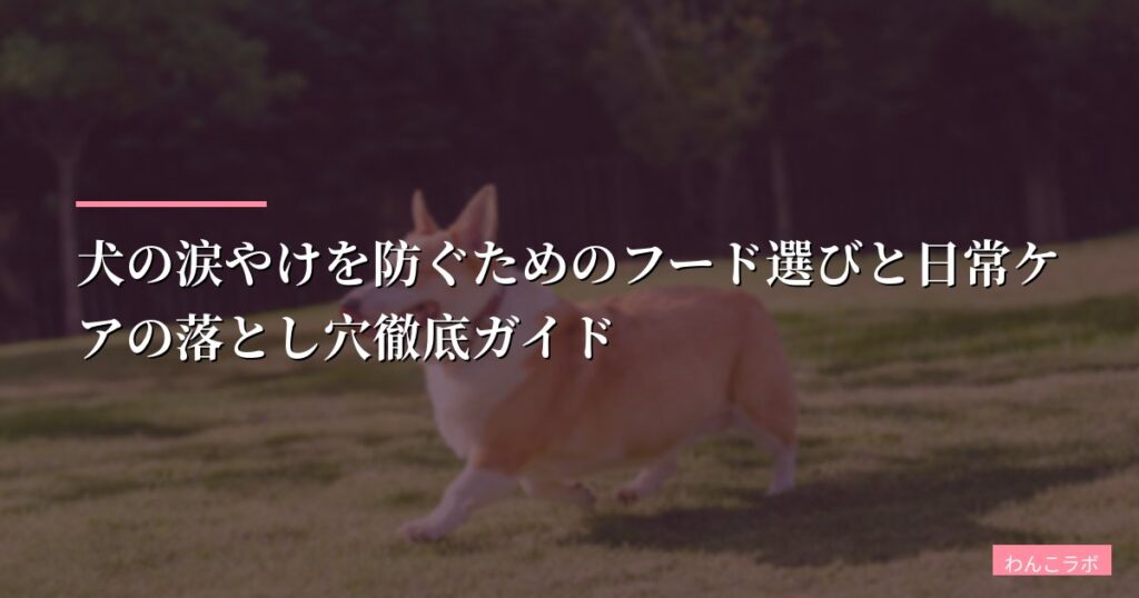 犬の涙やけを防ぐためのフード選びと日常ケアの落とし穴徹底ガイド【2026年版】