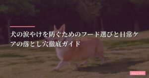 犬の涙やけを防ぐためのフード選びと日常ケアの落とし穴徹底ガイド【2026年版】