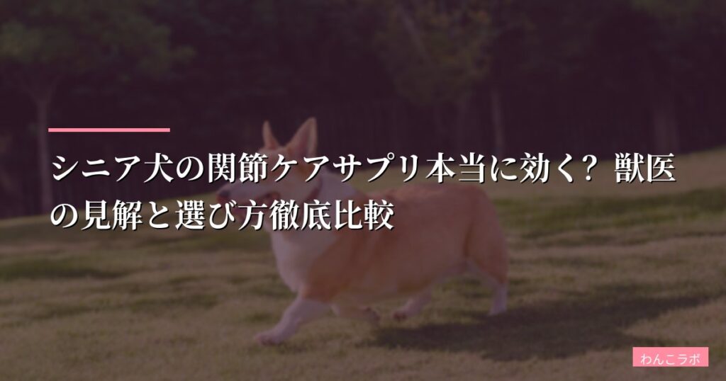 シニア犬の関節ケアサプリ本当に効く？獣医の見解と選び方徹底比較【2026年版】