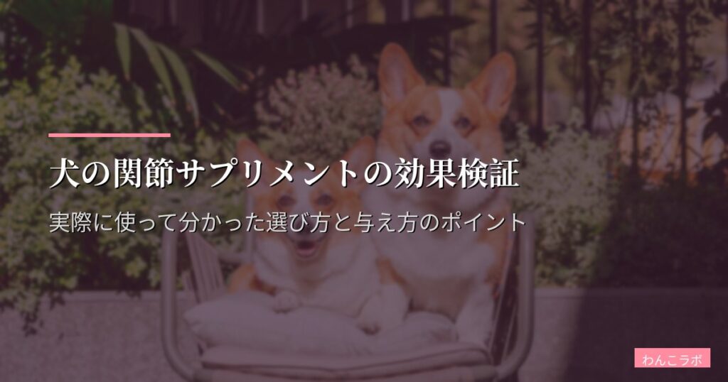 犬の関節サプリメントの効果検証｜実際に使って分かった選び方と与え方のポイント