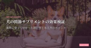 犬の関節サプリメントの効果検証｜実際に使って分かった選び方と与え方のポイント