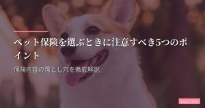 ペット保険を選ぶときに注意すべき5つのポイント｜保険内容の落とし穴を徹底解説