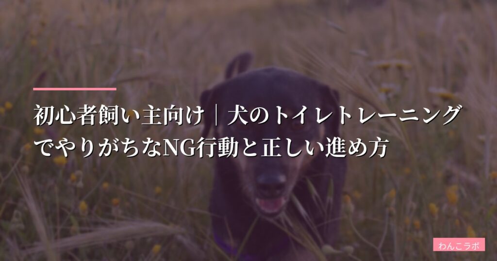 初心者飼い主向け｜犬のトイレトレーニングでやりがちなNG行動と正しい進め方【最新おすすめグッズ徹底比較】