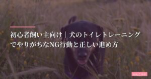 初心者飼い主向け｜犬のトイレトレーニングでやりがちなNG行動と正しい進め方【最新おすすめグッズ徹底比較】