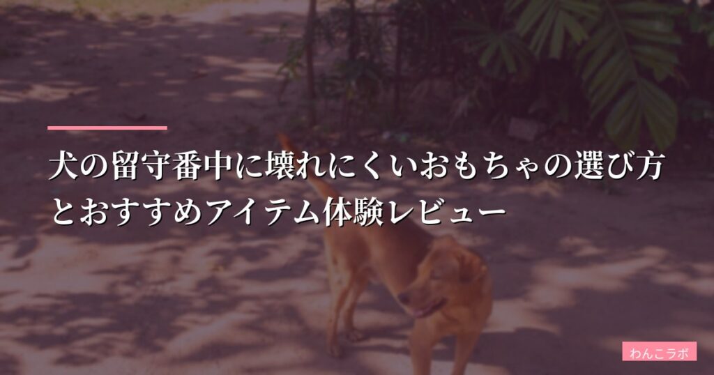 犬の留守番中に壊れにくいおもちゃの選び方とおすすめアイテム体験レビュー【2026年版】